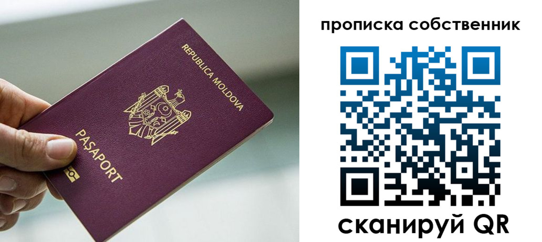 прописка паспорт в Фокино